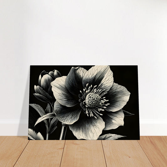 Minimalist hellebore flower sketch on canvas with fine linework and neutral background