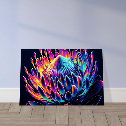 Pop art protea flower in vibrant pinks and oranges with bold black outlines set against a dark background.