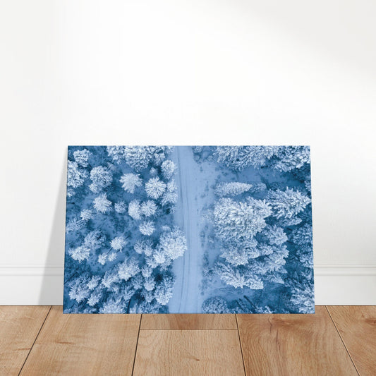 Snow-covered road winding through a frosty winter forest with tall trees and a pale sky.