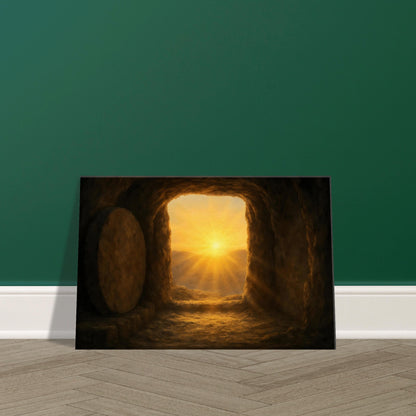 2fb58564-0f9f-4bb4-a195-9fd89e5d228d