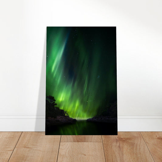 Aurora borealis in vibrant green over a calm cove with reflected lights and silhouetted trees under a night sky.