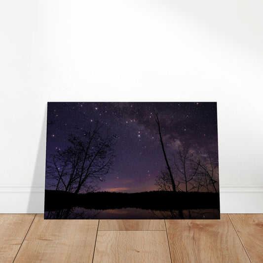 Purple night sky with stars reflected in a calm lake, framed by silhouettes of bare trees.