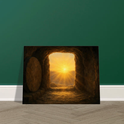 ec84a856-d05e-44b1-8319-385a71f63ca6